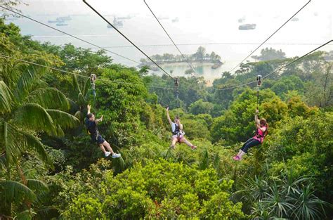 ziplining singapore